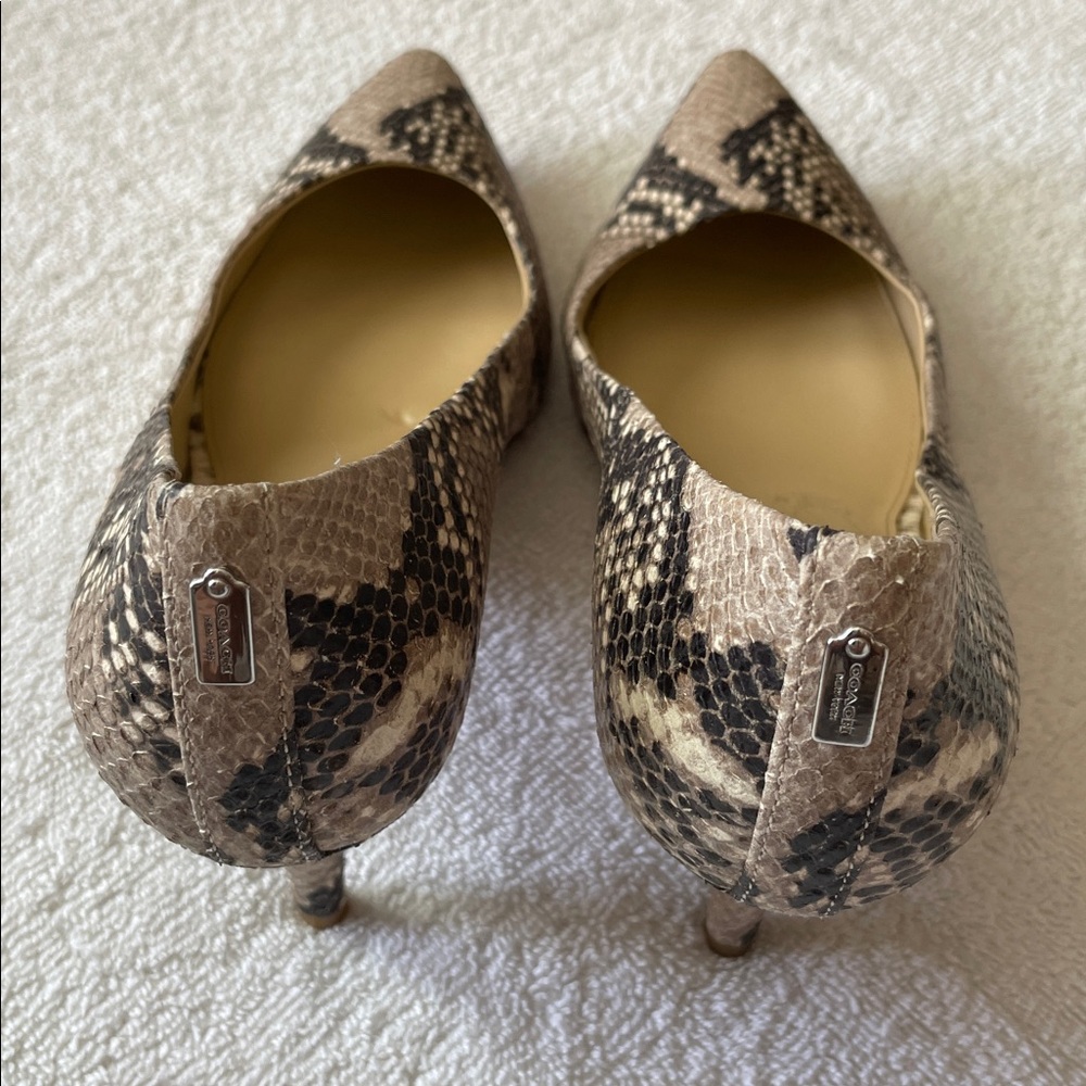 Coach Python Leather Pointed Toe Kitten Heels NWT - image 7